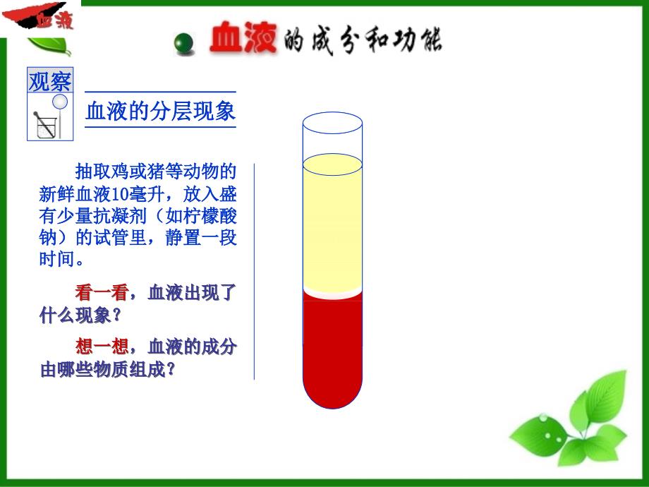 人教版流动的组织血液PPT优秀课件1_第3页