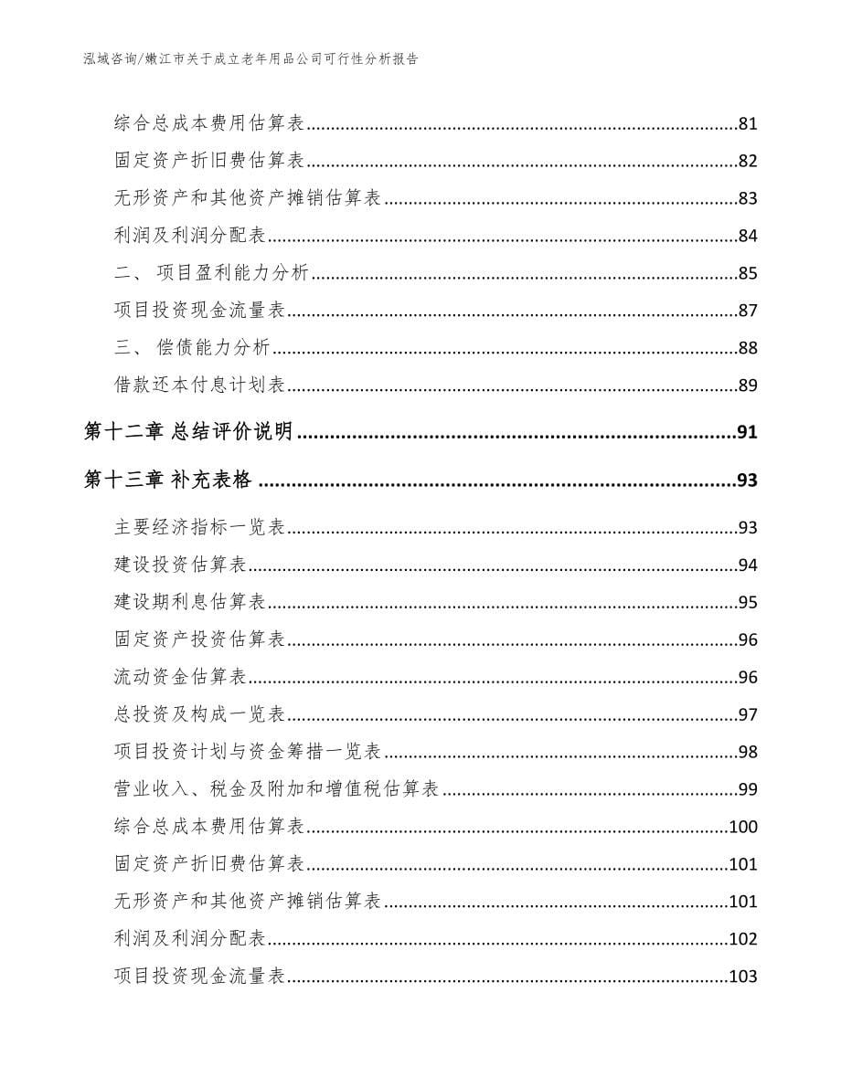 嫩江市关于成立老年用品公司可行性分析报告（范文参考）_第5页