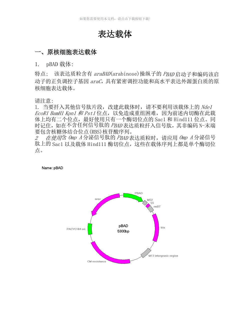 各种表达载体Word版_第1页