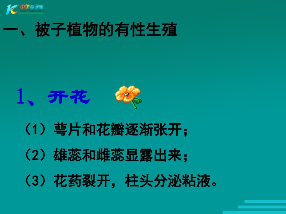 植物生殖方式的多样性课件7浙教版七年级下_第4页