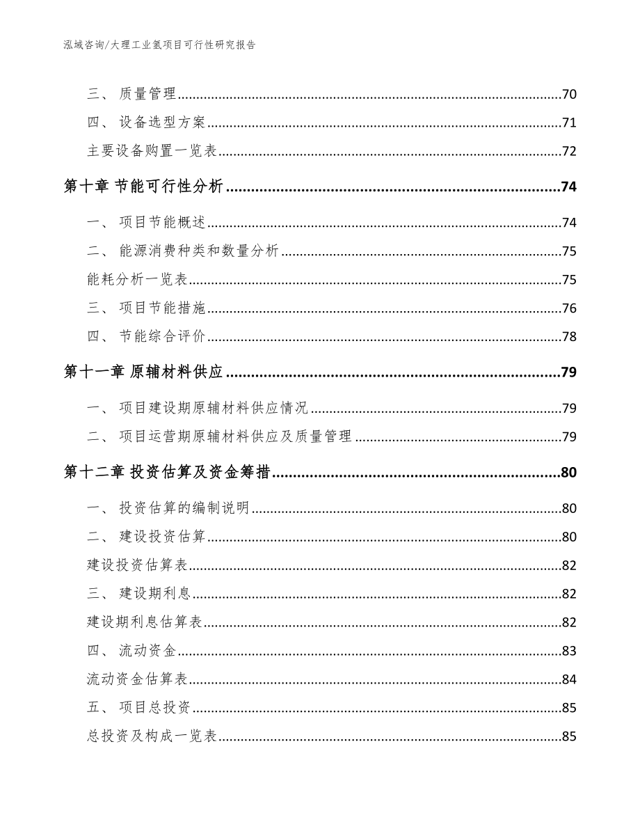 大理工业氢项目可行性研究报告（模板参考）_第3页