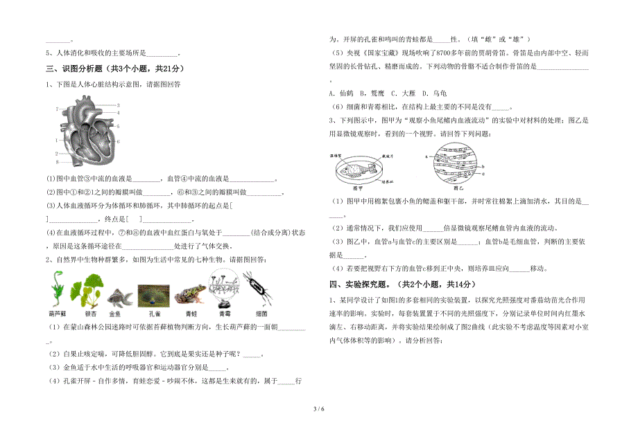 冀教版七年级生物上册期末测试卷【及参考答案】.doc_第3页