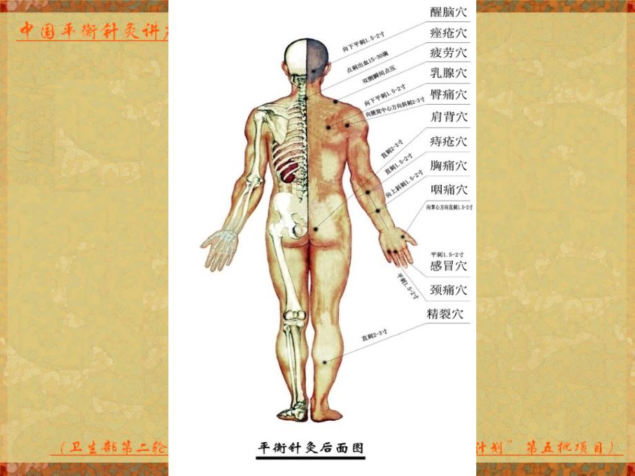 平衡针灸常用穴位_第3页