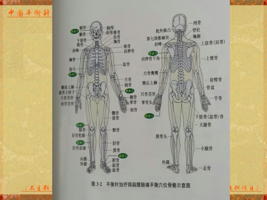 平衡针灸常用穴位_第5页