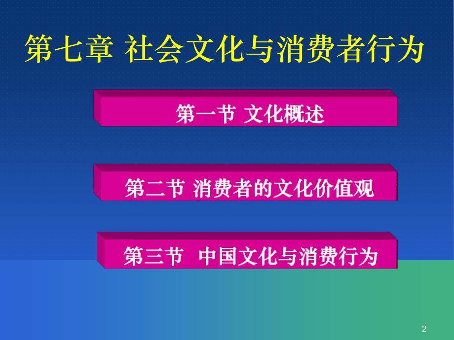 7-社会文化与消费者行为._第2页