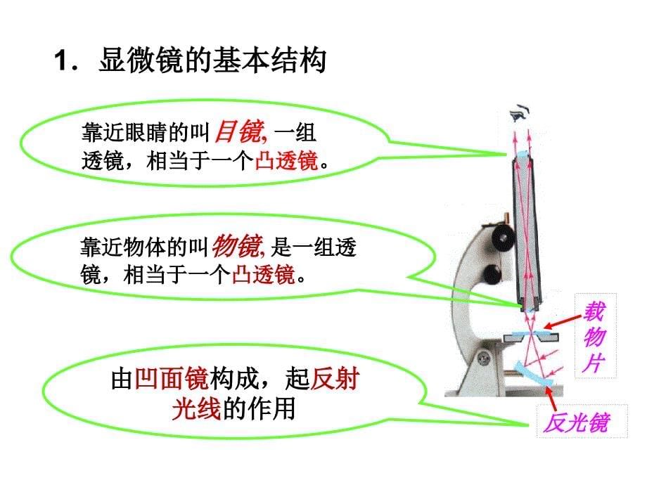 显微镜和望眼镜_第5页