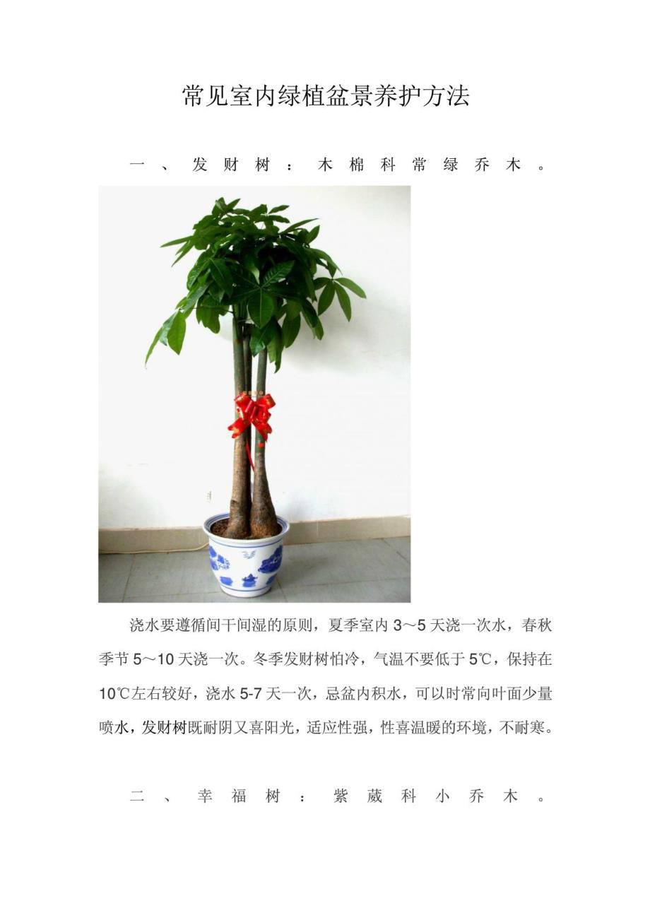 罕见室内绿植花草盆景养护方法精彩_第2页