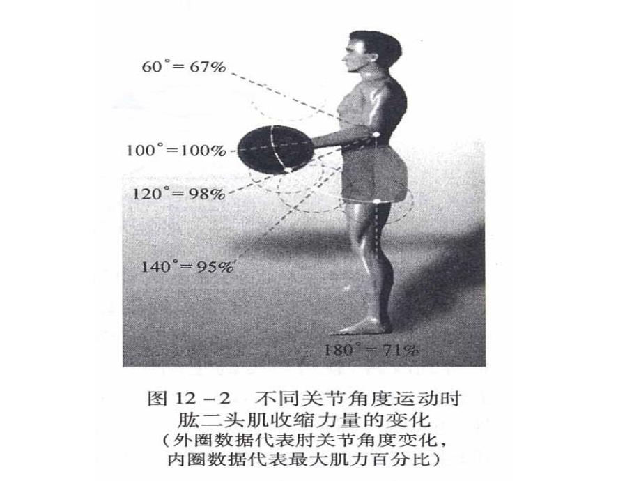 身体素质PPT课件_第2页