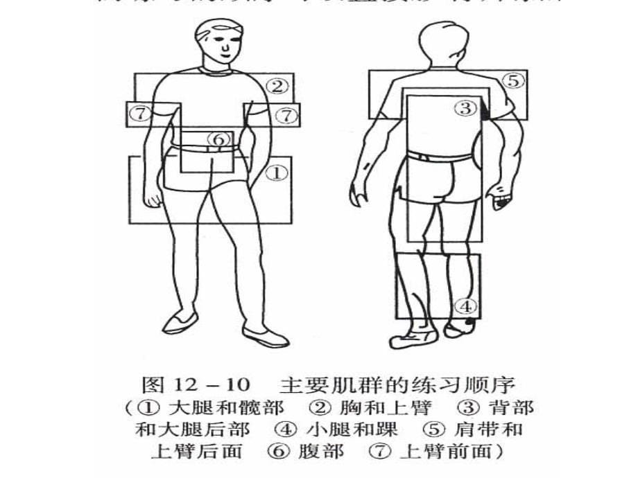 身体素质PPT课件_第5页