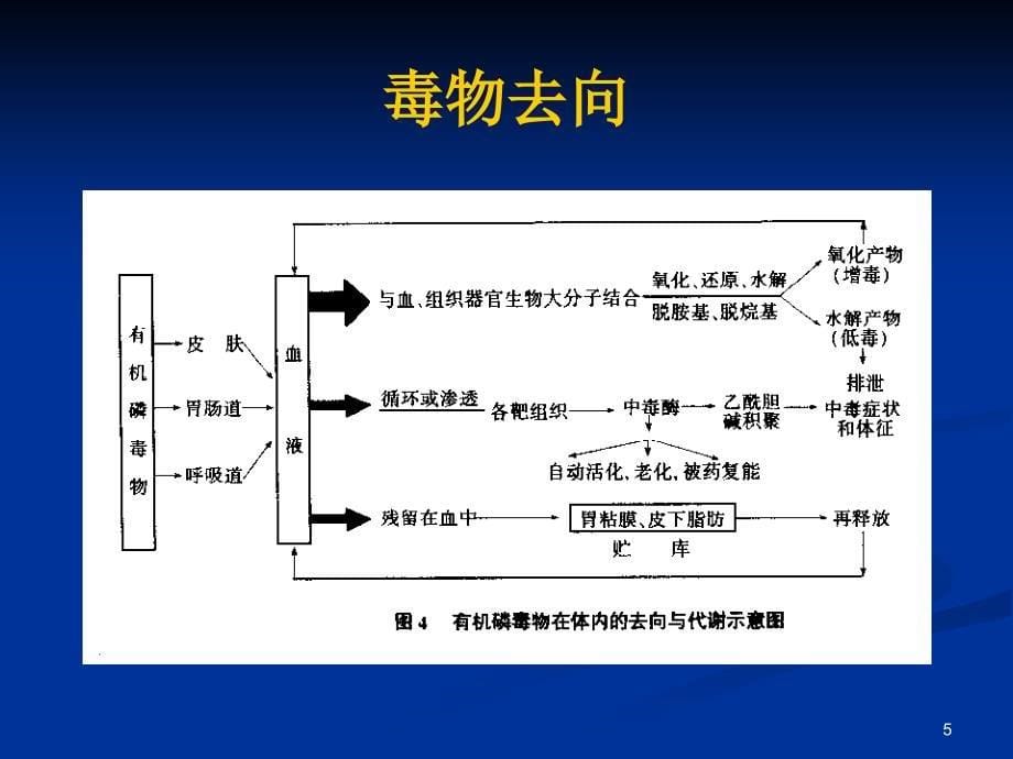 急性有机磷农药中毒名师编辑PPT课件_第5页