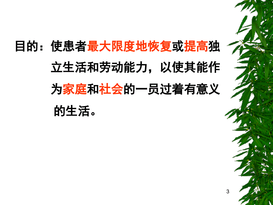 作业治疗课堂PPT_第3页