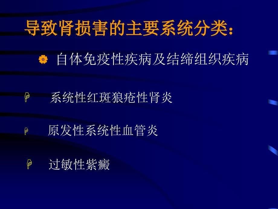 最新内科疾病和肾脏课件PPT文档_第5页