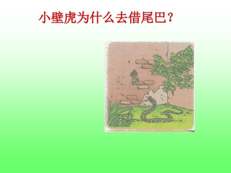 小壁虎借尾巴_第5页