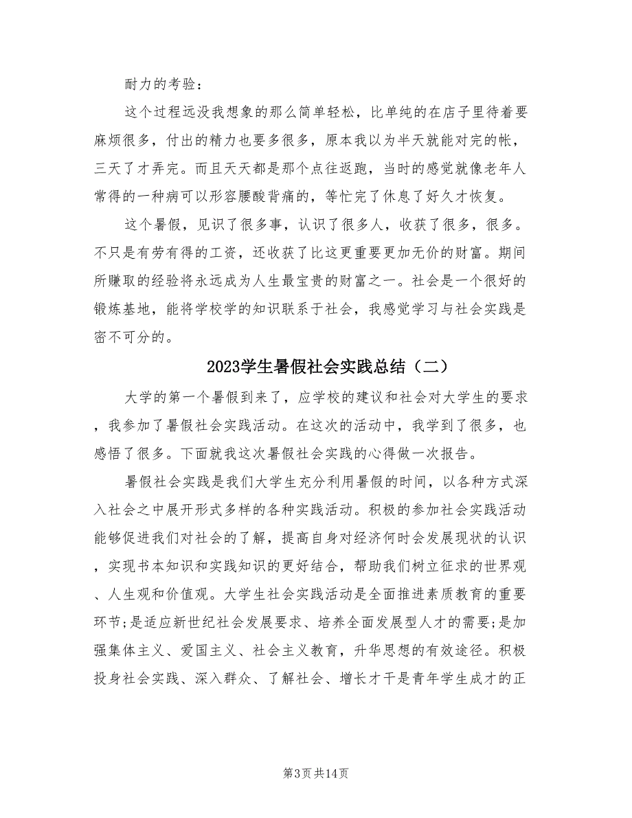 2023学生暑假社会实践总结（4篇）.doc_第3页