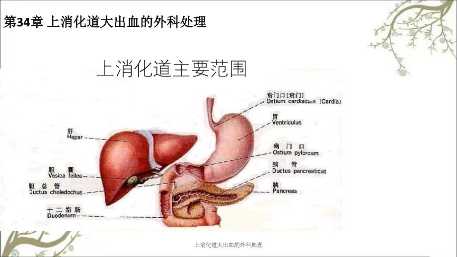 上消化道大出血的外科处理_第4页