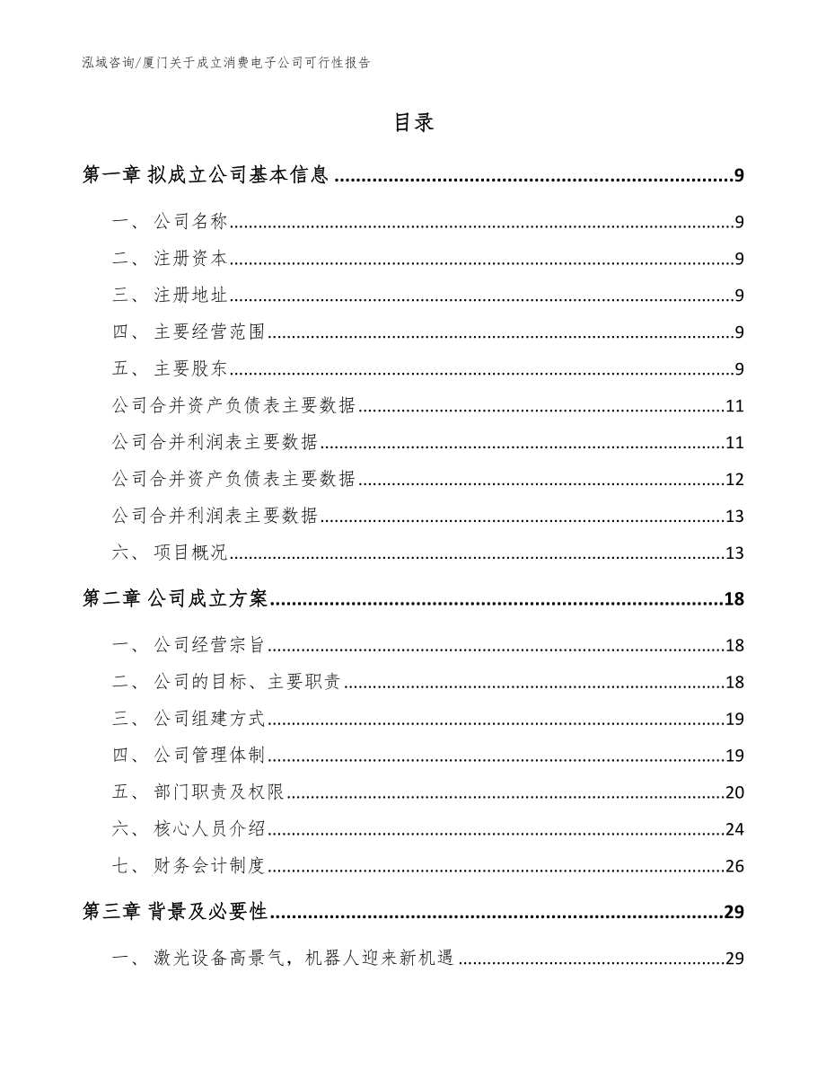 厦门关于成立消费电子公司可行性报告_第2页