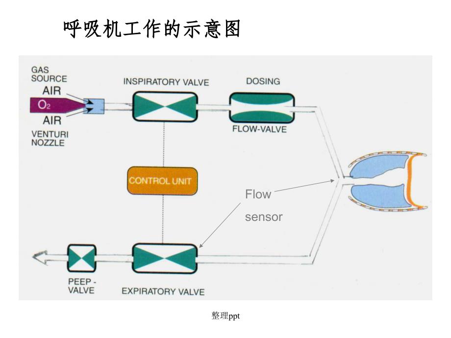 机械通气波形分析_第2页