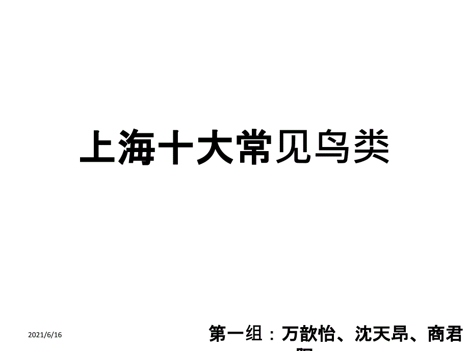 上海十大常见鸟类_第1页