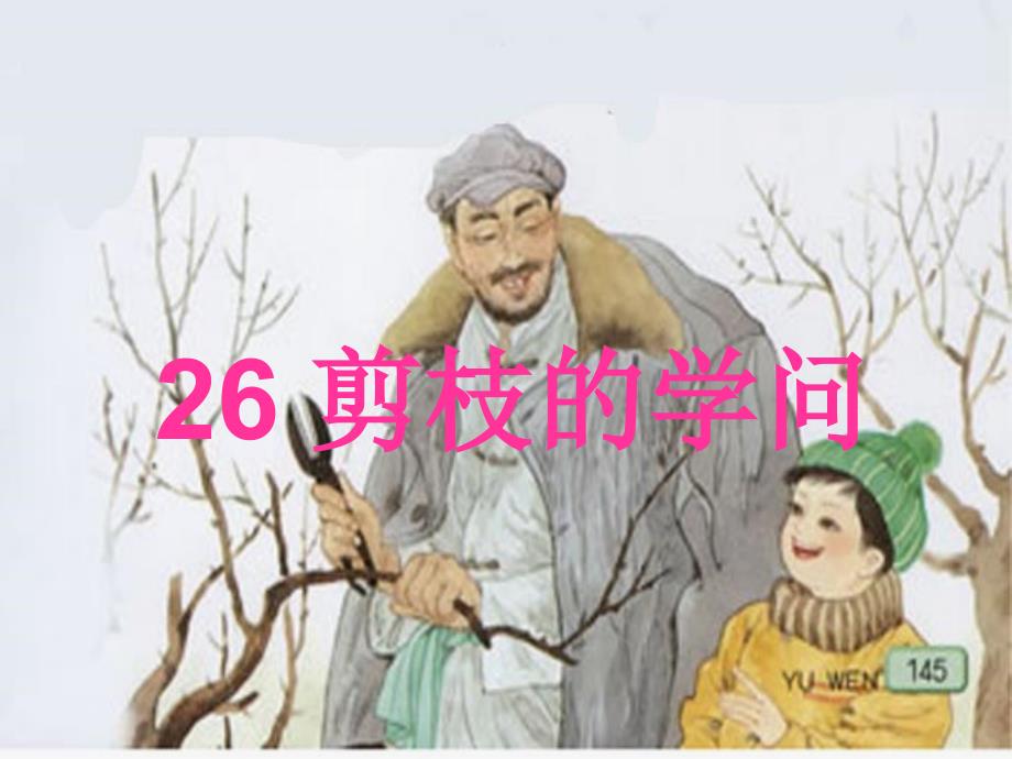 三年级语文下册第八单元26剪枝的学问课件3苏教版_第1页