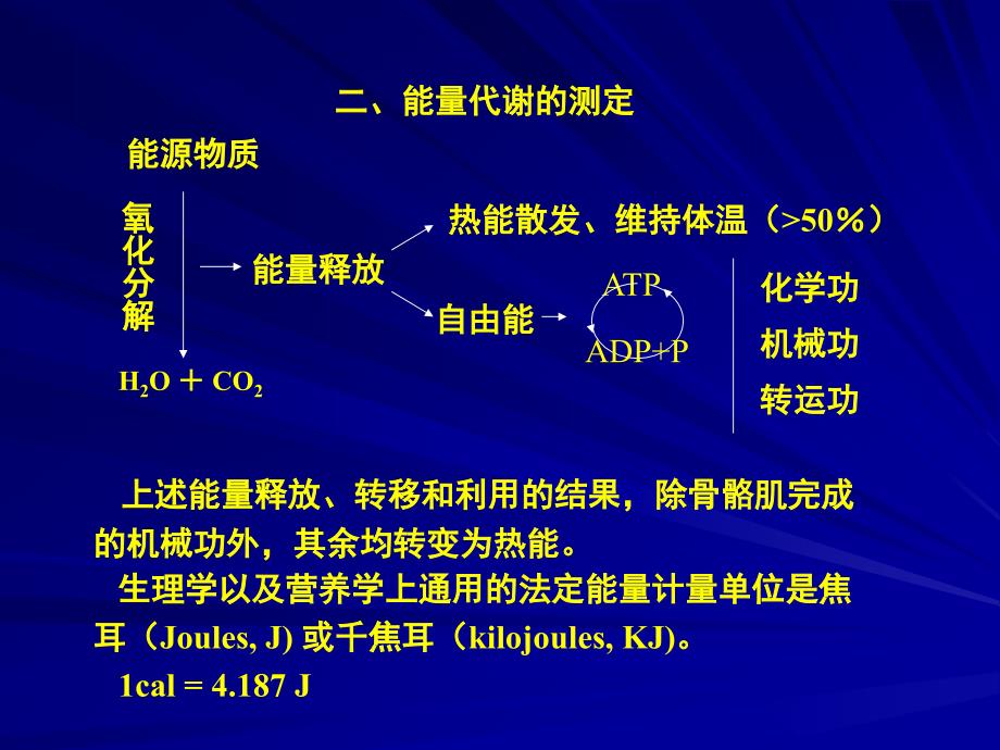 第七章能量代谢和体温_第4页