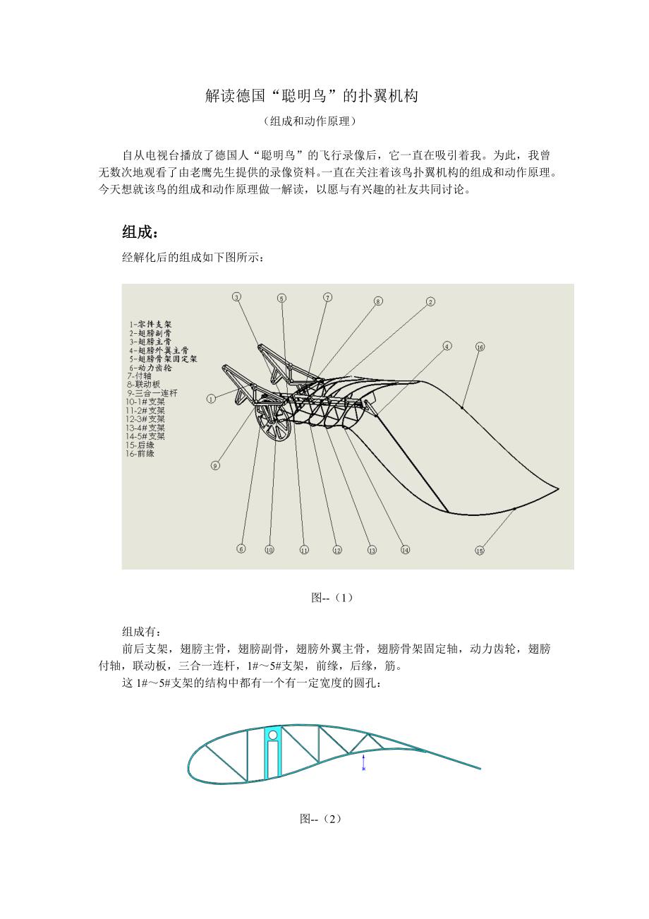 德国机械鸟组成和动作原理_第1页