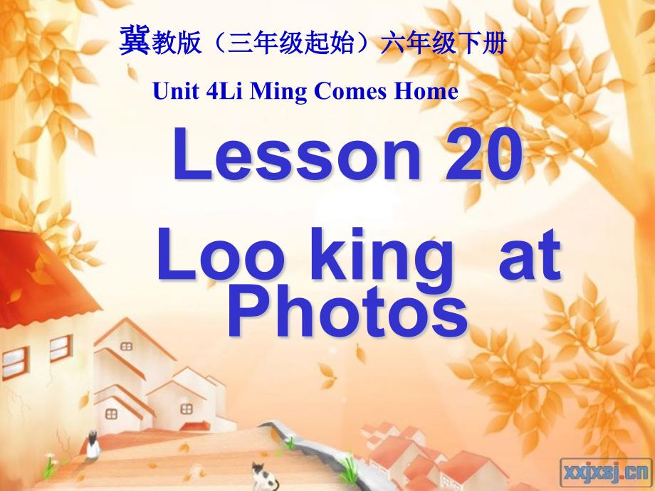 新冀教版六年级英语下册Unit4LiMingComesHomeLesson20LookingatPhotos课件17_第1页