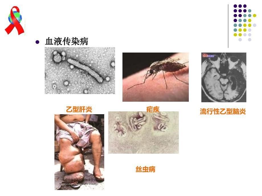 传染病其预防ppt课件_第5页