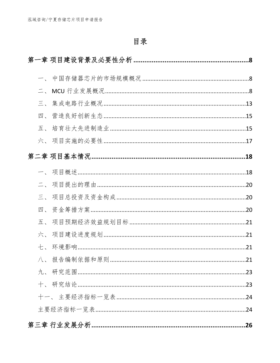 宁夏存储芯片项目申请报告_第1页