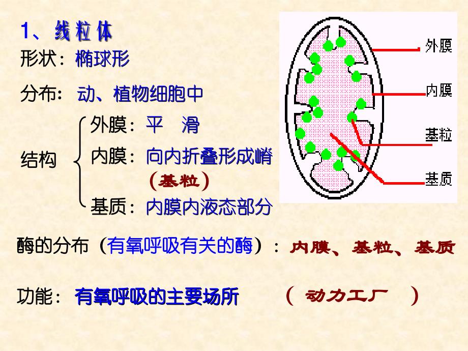 人教版教学课件细胞器——细胞内的分工合作(第一课时) 课件1PPT文档_第4页