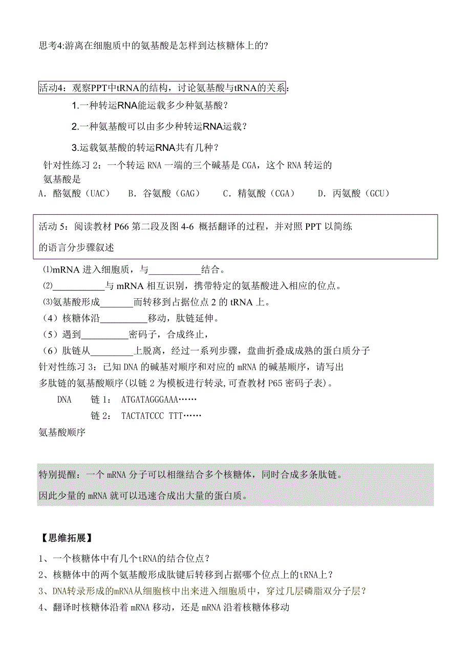 41基因指导蛋白质的的合成(教育精品)_第3页