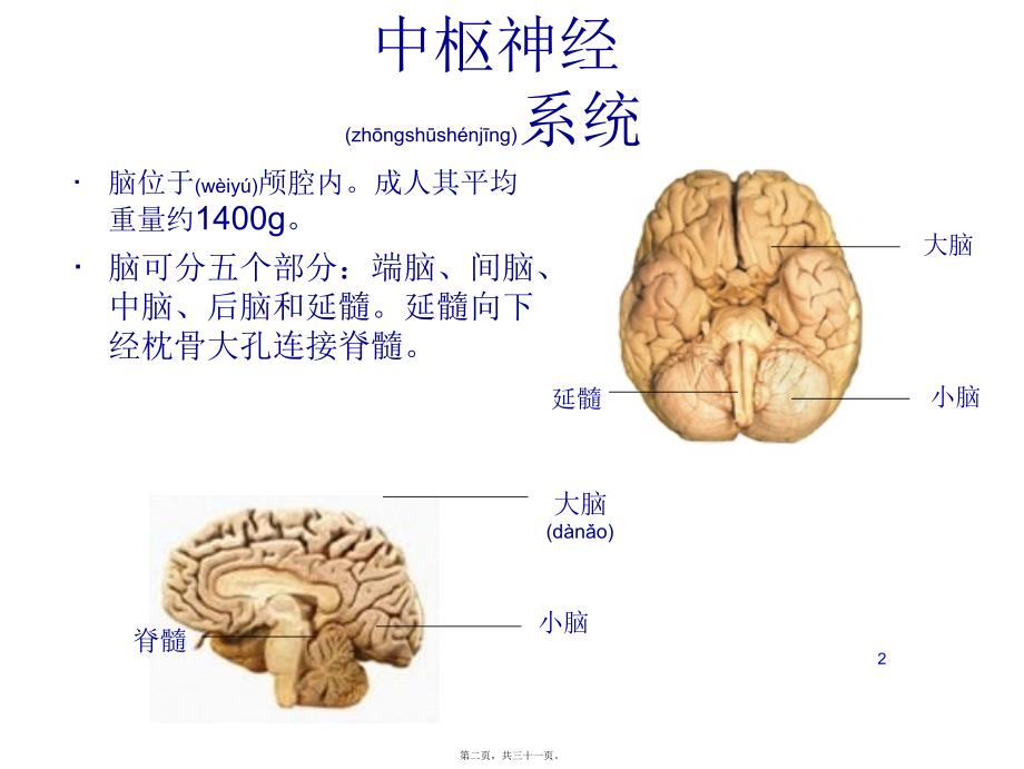 医学专题—偏瘫并发症的处理20418_第2页