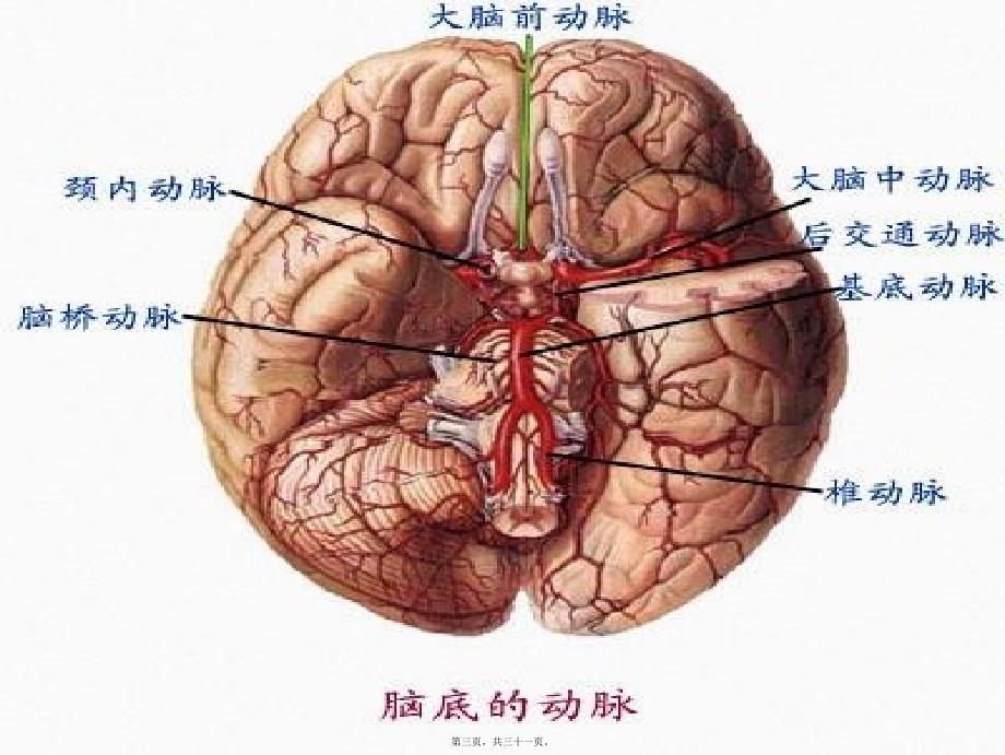 医学专题—偏瘫并发症的处理20418_第3页