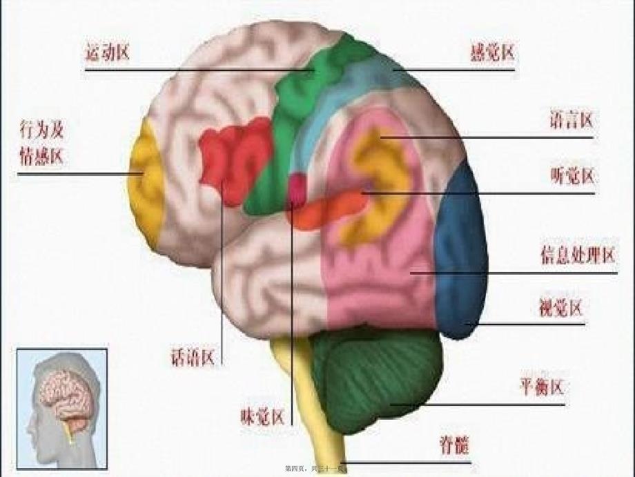 医学专题—偏瘫并发症的处理20418_第4页