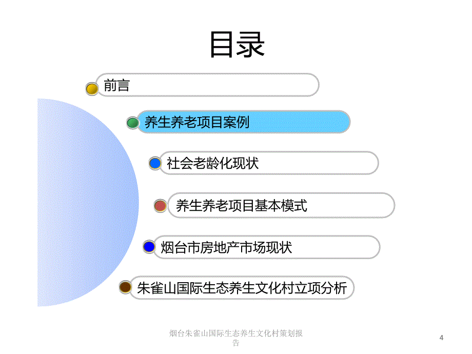 烟台朱雀山国际生态养生文化村策划报告课件_第4页