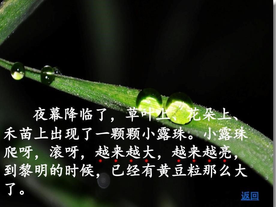 小露珠教学课件——潘芳_第5页