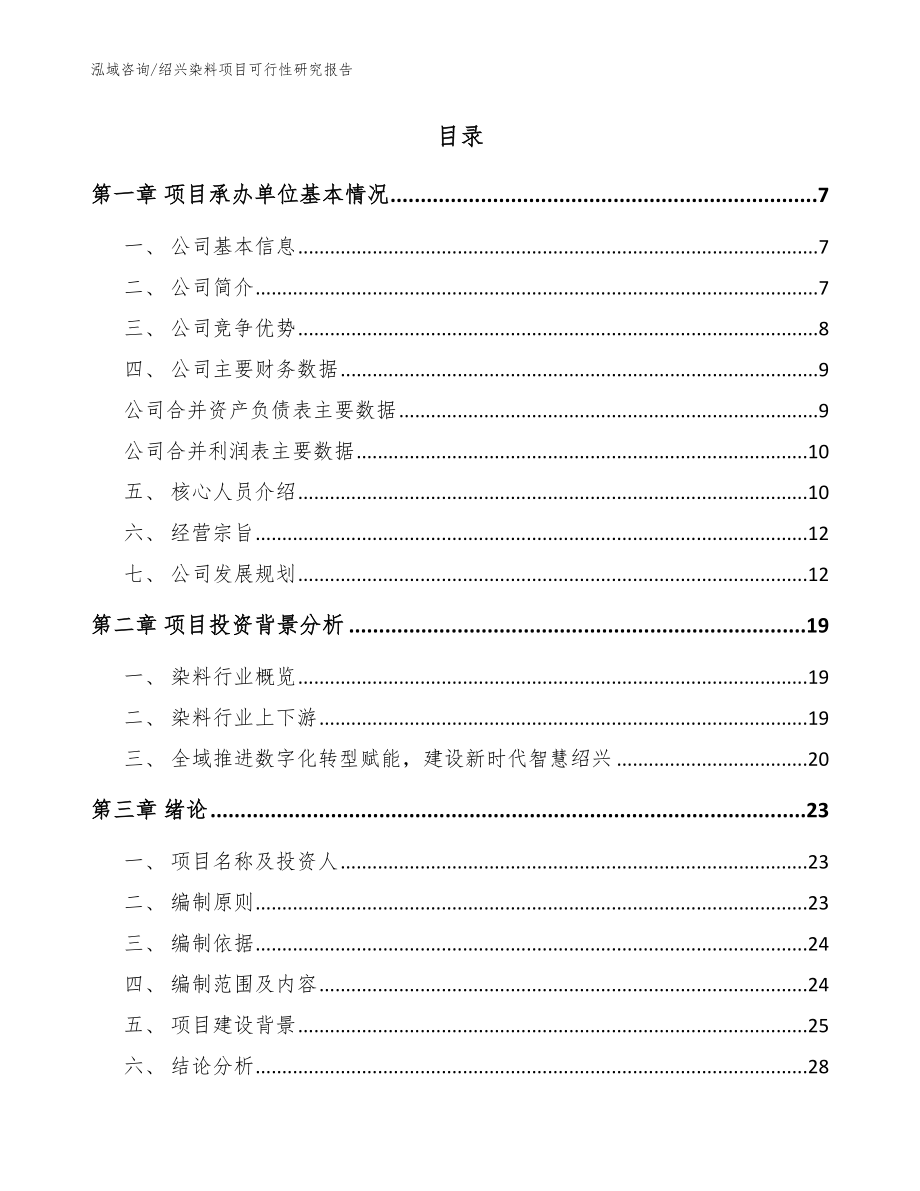绍兴染料项目可行性研究报告_范文_第2页