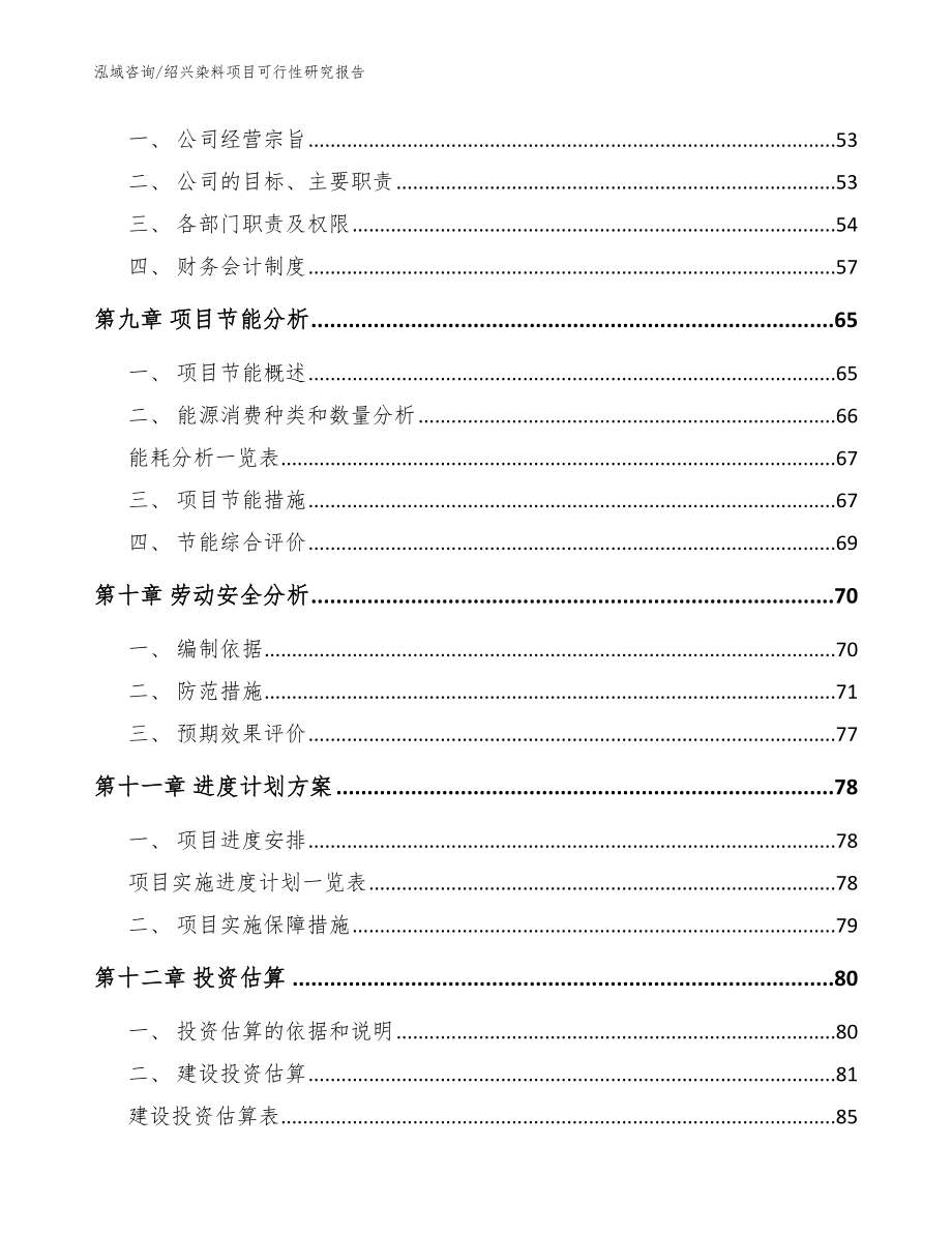 绍兴染料项目可行性研究报告_范文_第4页