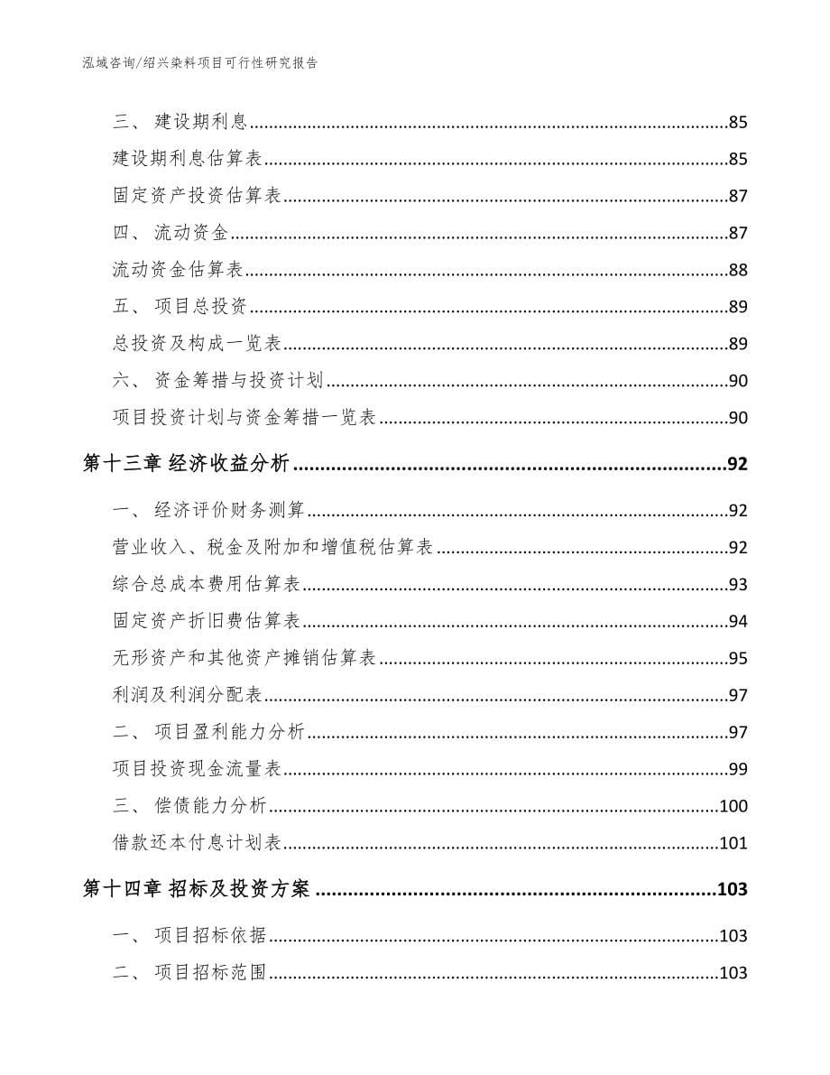 绍兴染料项目可行性研究报告_范文_第5页
