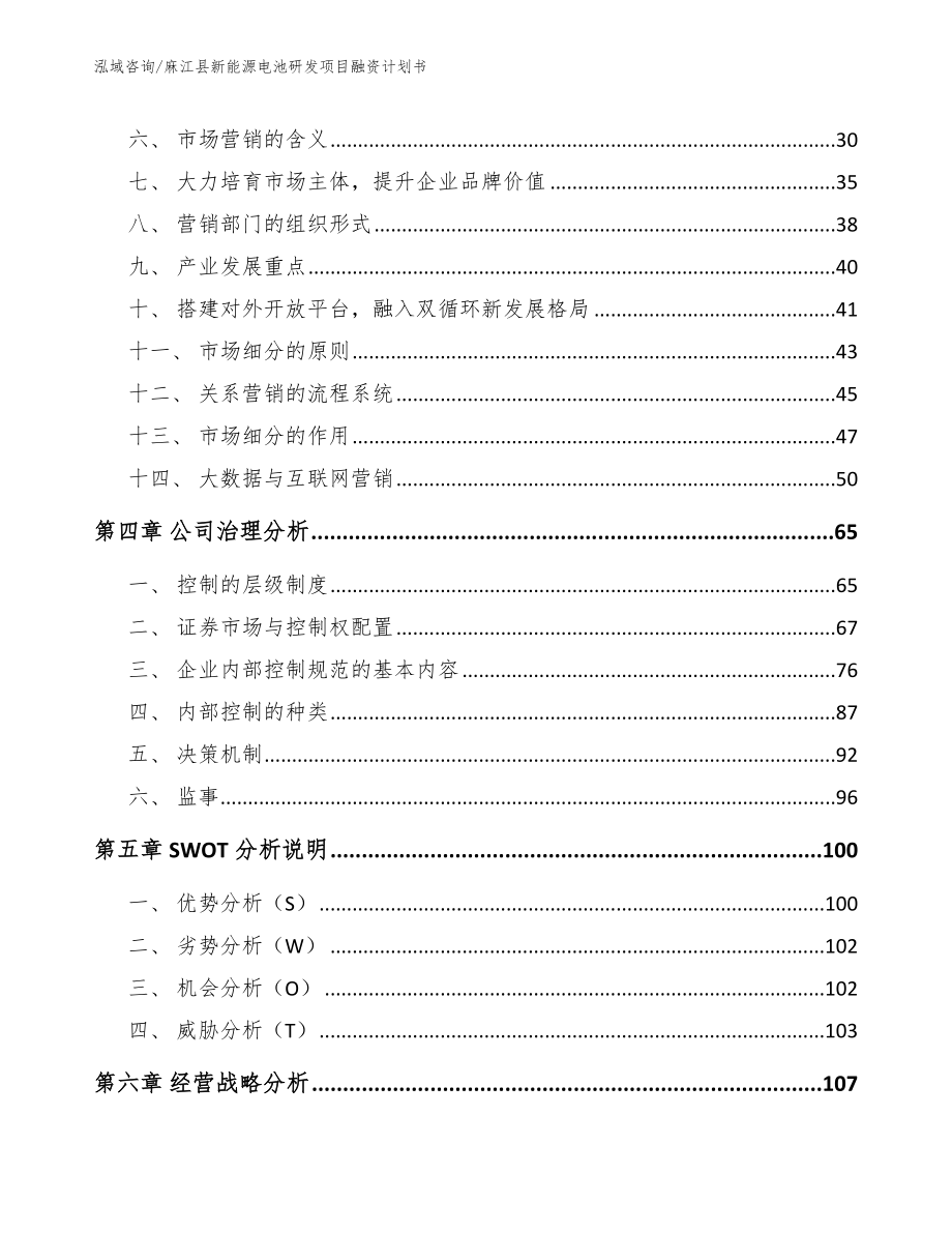 麻江县新能源电池研发项目融资计划书_范文模板_第4页