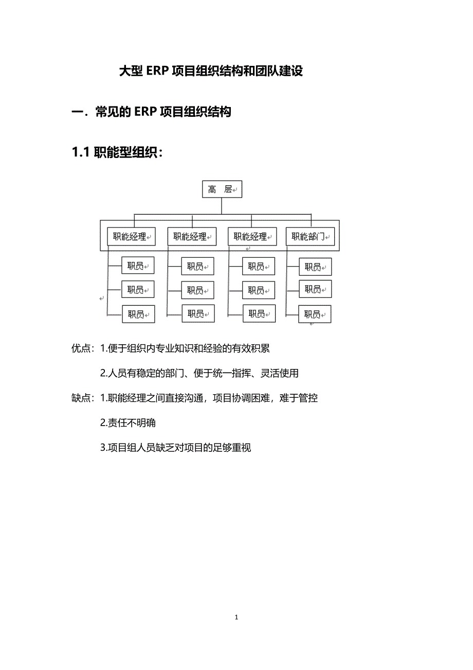 大型ERP项目组织结构和团队建设_第1页