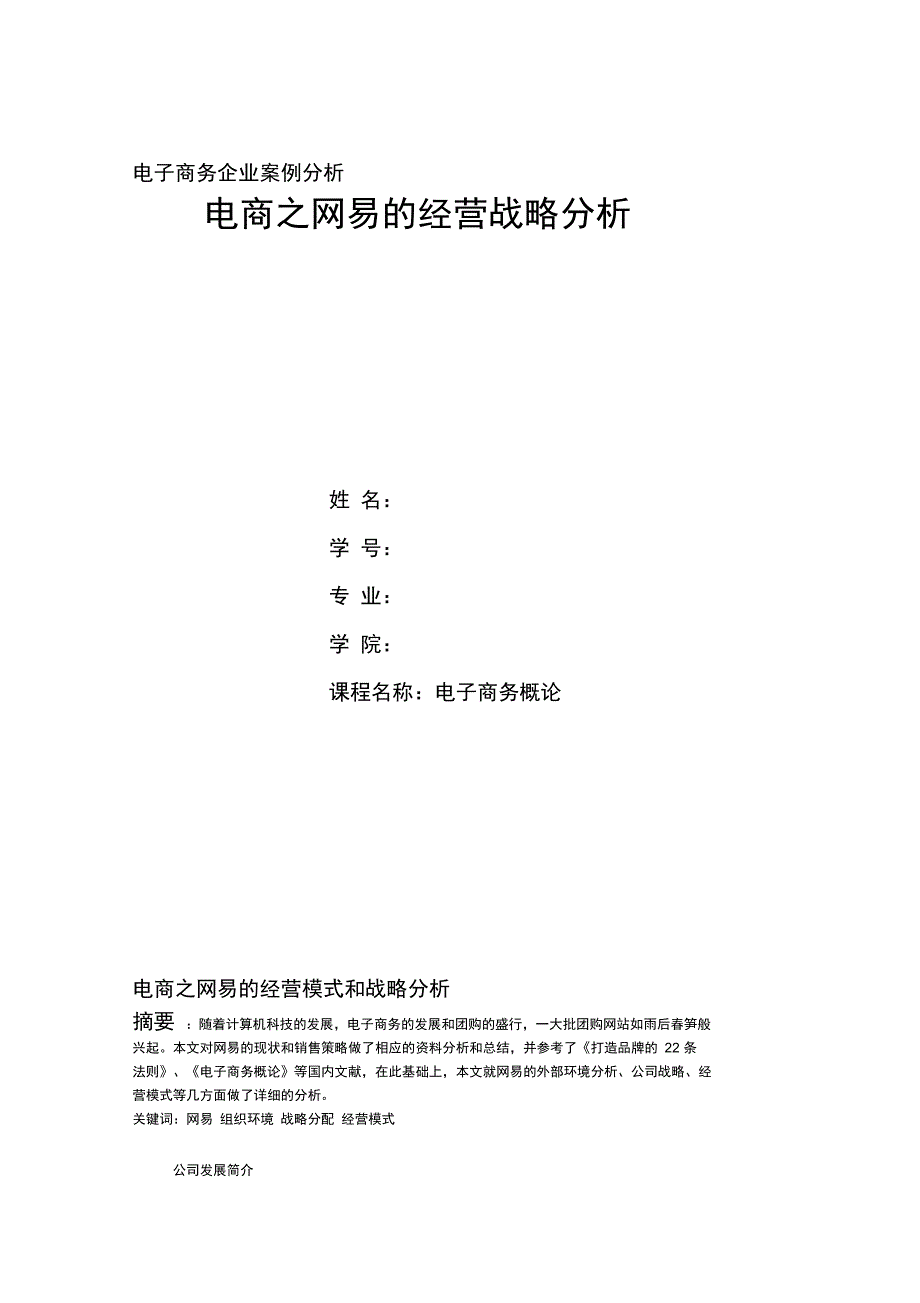 网易公司战略与分析报告_第1页