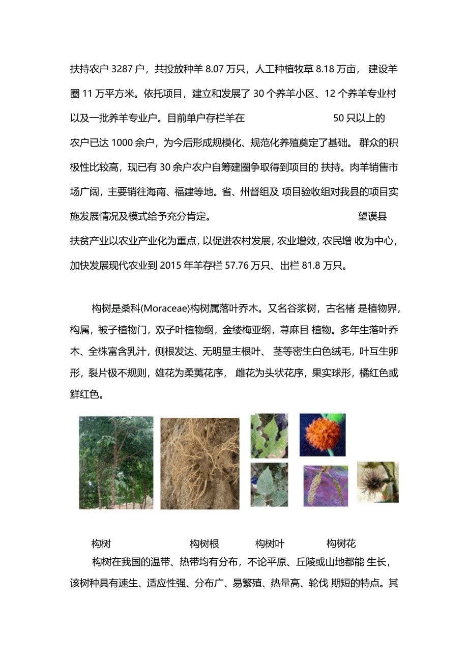 构树扶贫工程试点方案_第5页