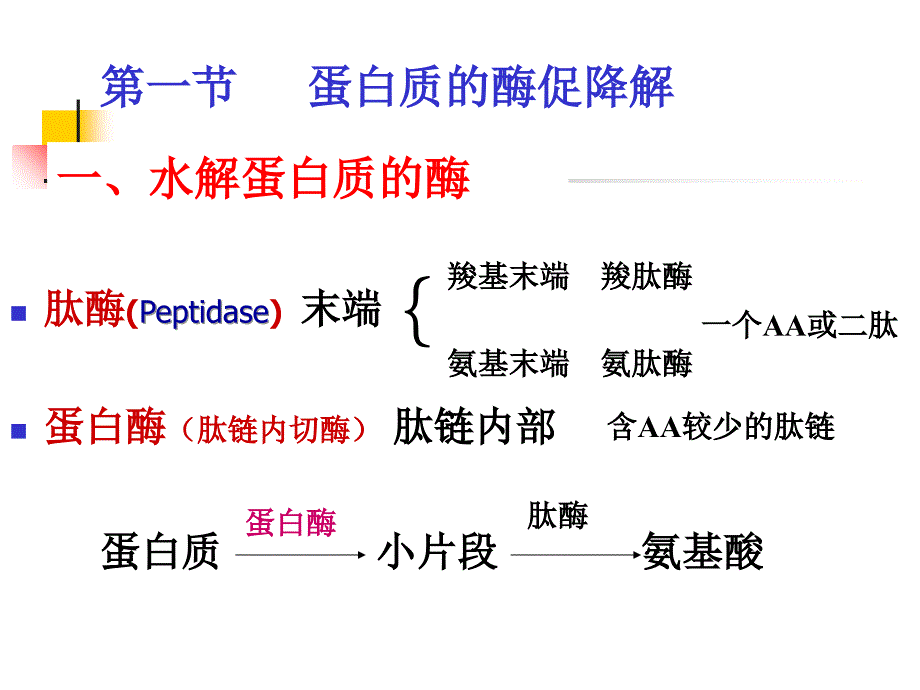 主要含氮化合物的代谢_第2页