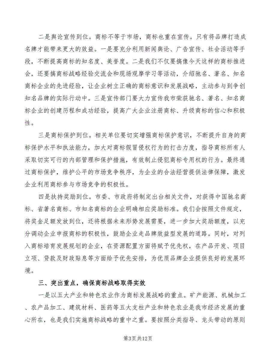 2022年书记在商标战略大会发言模板_第3页