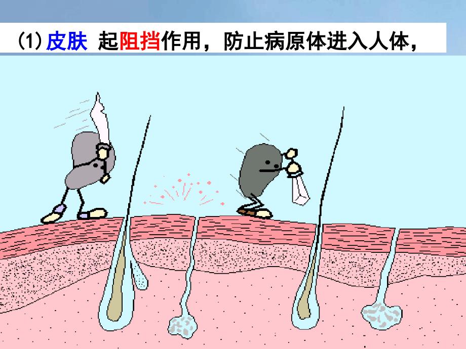 九年级科学下册33身体的防卫课件1新版浙教版1_第4页