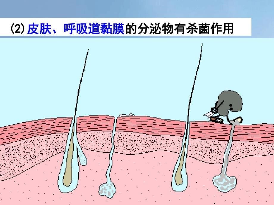 九年级科学下册33身体的防卫课件1新版浙教版1_第5页