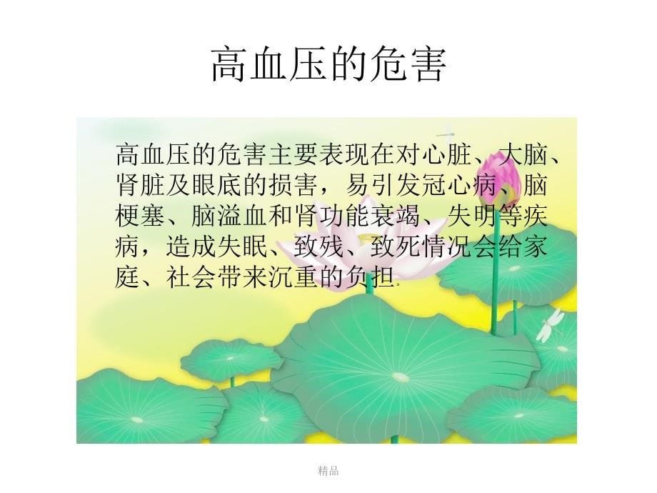 高血压病的健康教育学习.ppt_第5页