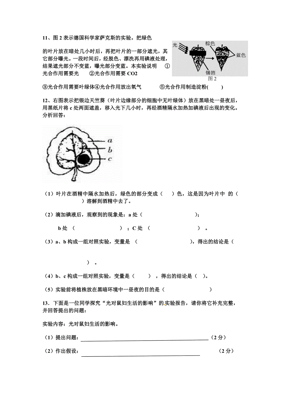 初一生物上册实验探究专项训练及答案_第3页