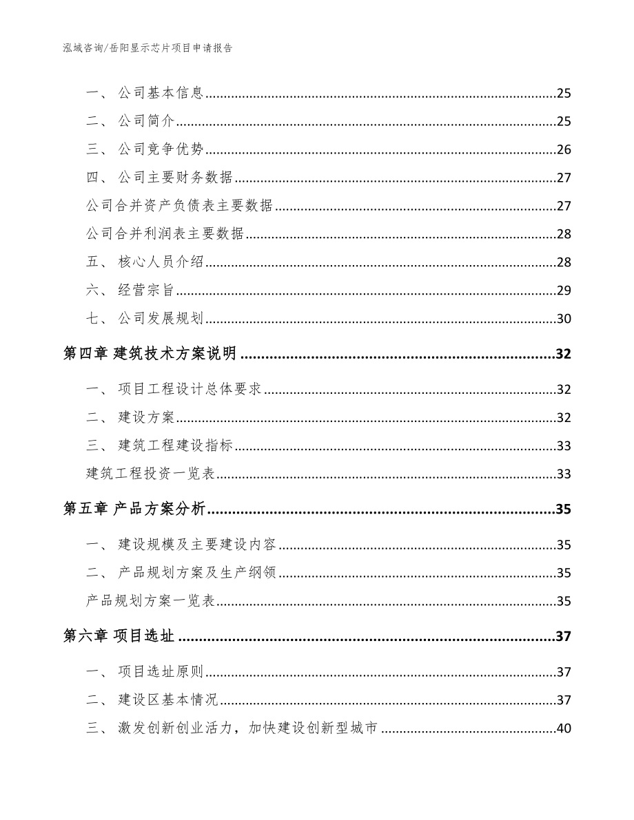 岳阳显示芯片项目申请报告_模板范本_第3页