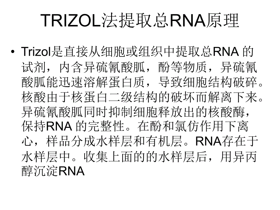 分子生物学实验课：RAN-胶回收（D）_第3页